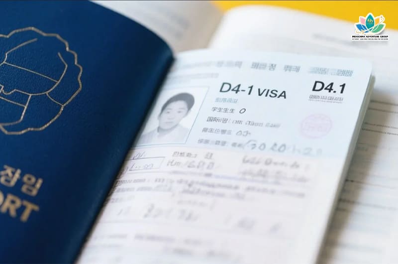 Visa D4-1