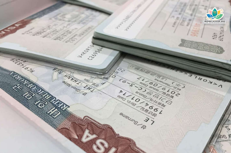 Visa D2 Du học chuyên ngành